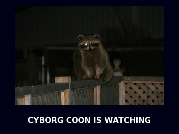 CYBORG COON