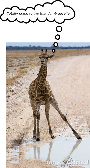 Giraffe Trip