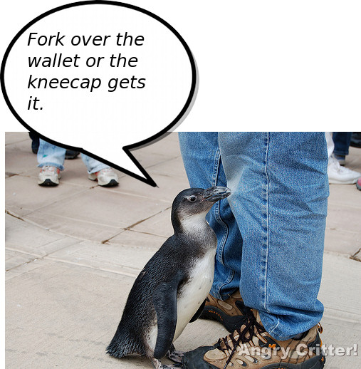 Penguin wallet