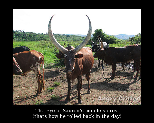 Sauron cow