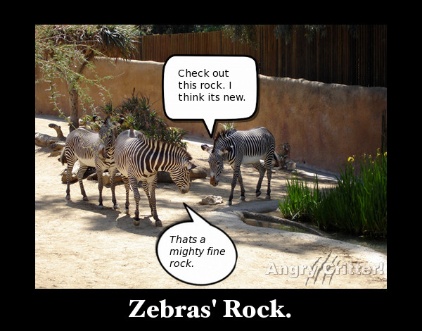 Zebras' Rock