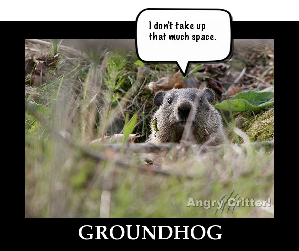 groundhog space