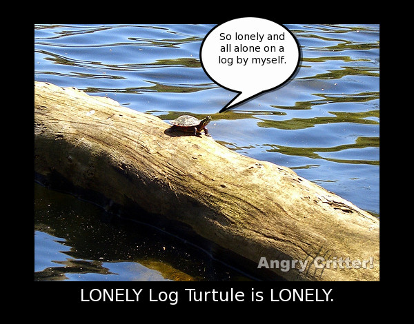 lonely Turtle