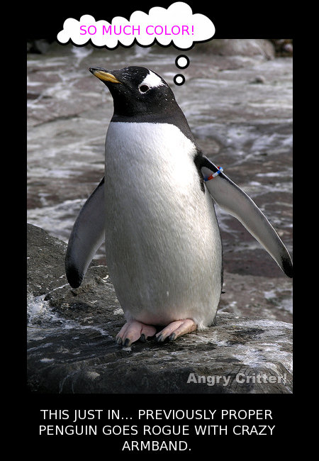 CRAZY Penguin