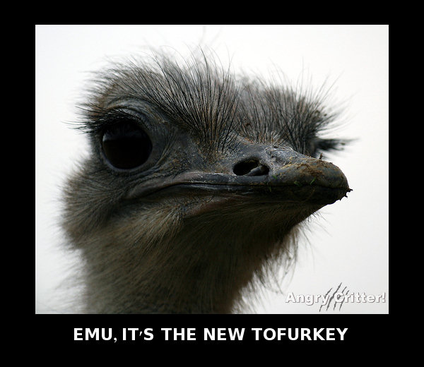 Emu TOFURKEY