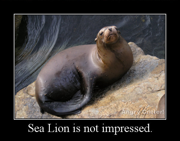 SeaLion Not Impressed