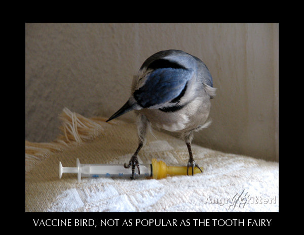 VACCINE BIRD