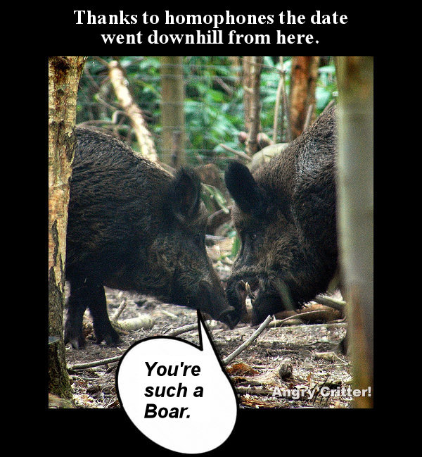 Wild boars date2