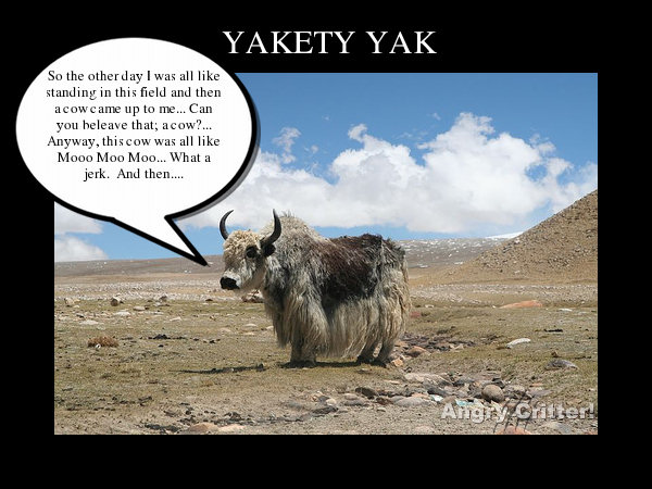 Yakety Yak 2