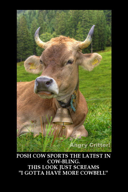 MORE COWBELL