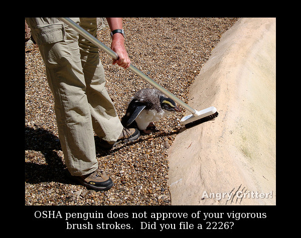 Broom Penguin OSHA