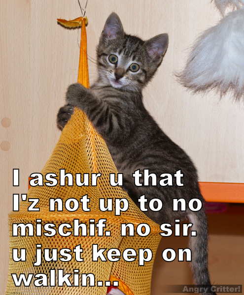 I ashur u that I'z not up to no mischif. No sir. U just keep on walkin...