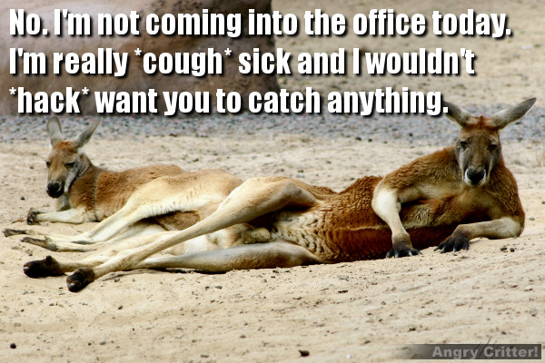 Lazy Kangaroo calls in sick again