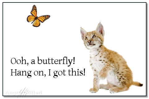 Ooh, a butterfly! Hang on, I got this!